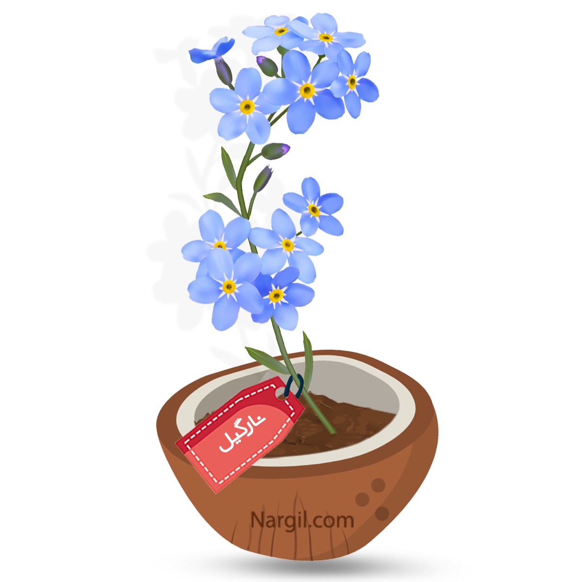  Nargil - forget me not